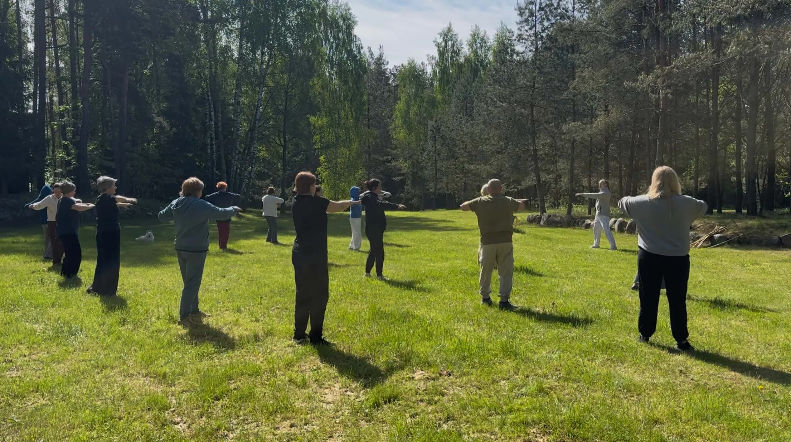 Tai Chi grupės praktika gamtoje